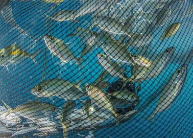 Machine de fabrication nette de poissons d'océan profond, machine ronde de filet d'ombre de fil