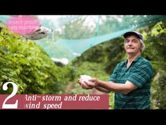 Anti- contrôle informatisé par machine de fabrication de filet vert de filet d'insecte