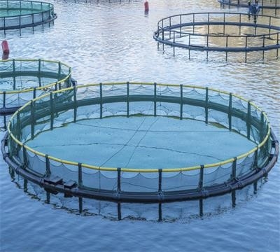 Machine de fabrication de filets de pêche en haute mer sans nœud