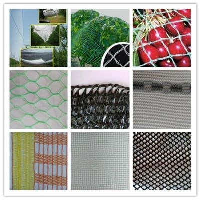 Le composant central qui définit les performances de la machine de tricot à déformation