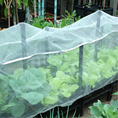 Machine à tricoter à la déformation de Raschel SRCP pour les filets anti-insectes