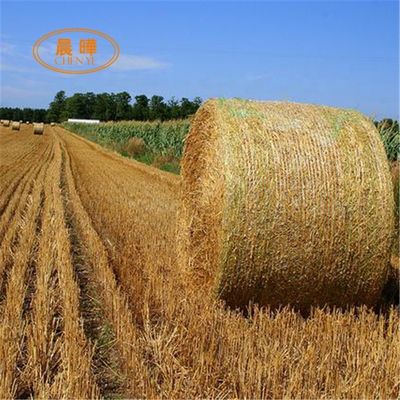 Machine de tricot de filet à baleines en PEHD agricole 7500W de style Warp