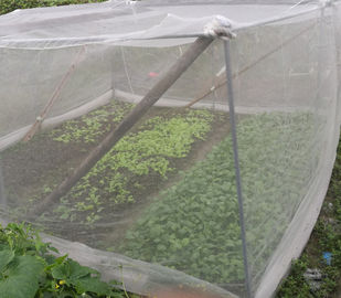 Filet protecteur végétal de PE/efficacité élevée de production machine de moustiquaire